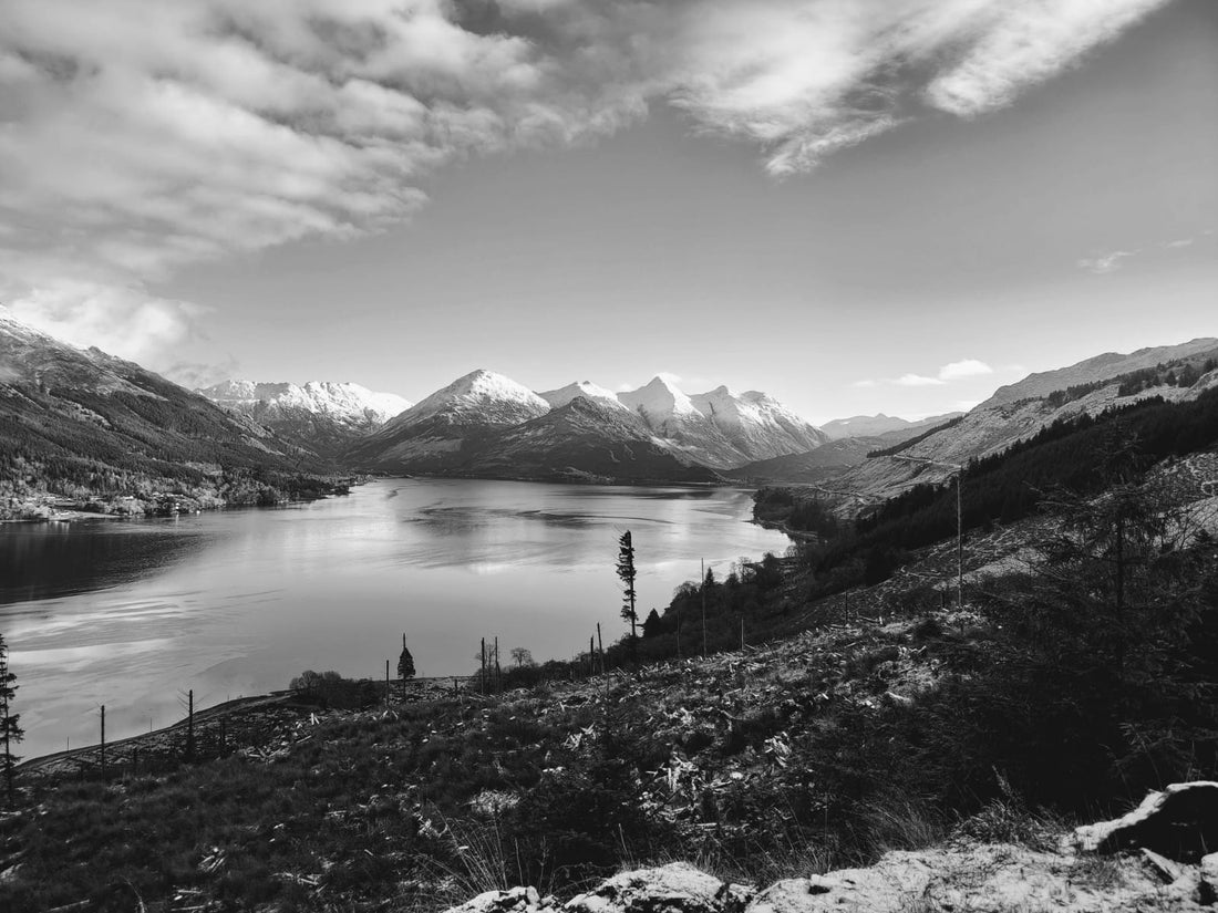 What Is Place North Apparel?